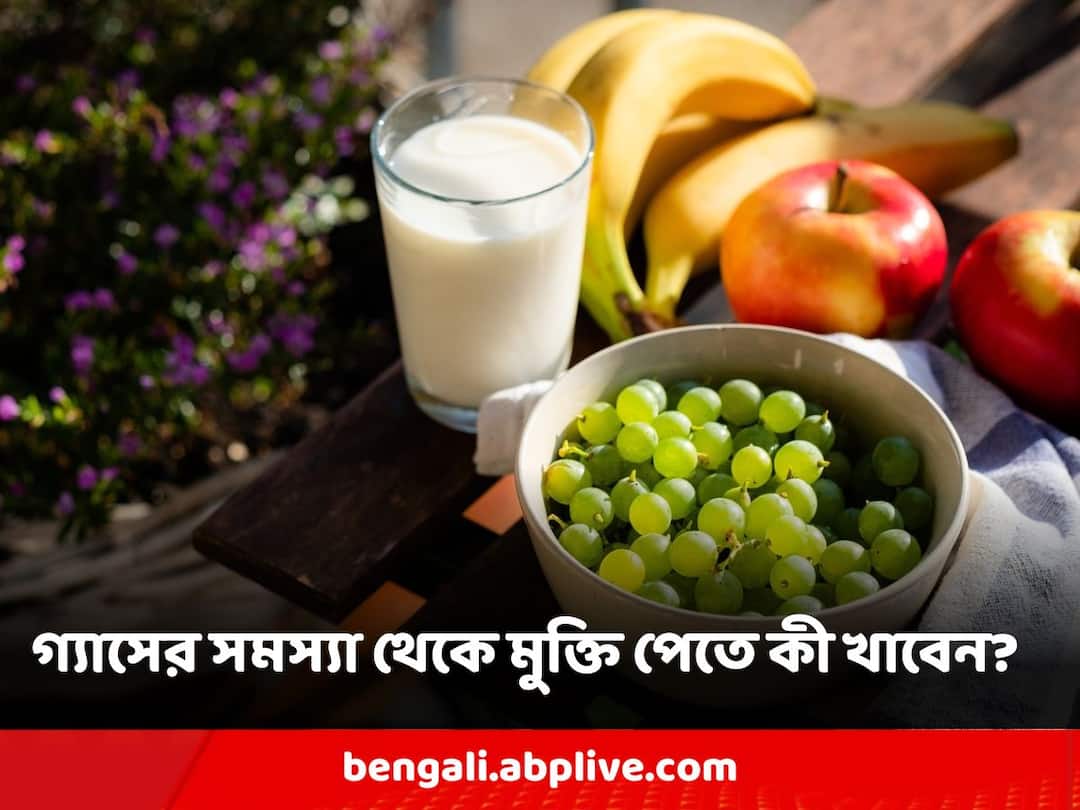 Food For Gut Health: গ্যাস-অম্বলের সমস্যায় ভুগছেন? খাদ্যতালিকায় এই বদলগুলো করলেই মিলবে সমাধান Nutrition Week 2023: For A Healthy Gut Food Items To Include In Our Diet Food For Gut Health: গ্যাস-অম্বলের সমস্যায় ভুগছেন? খাদ্যতালিকায় এই বদলগুলো করলেই মিলবে সমাধান