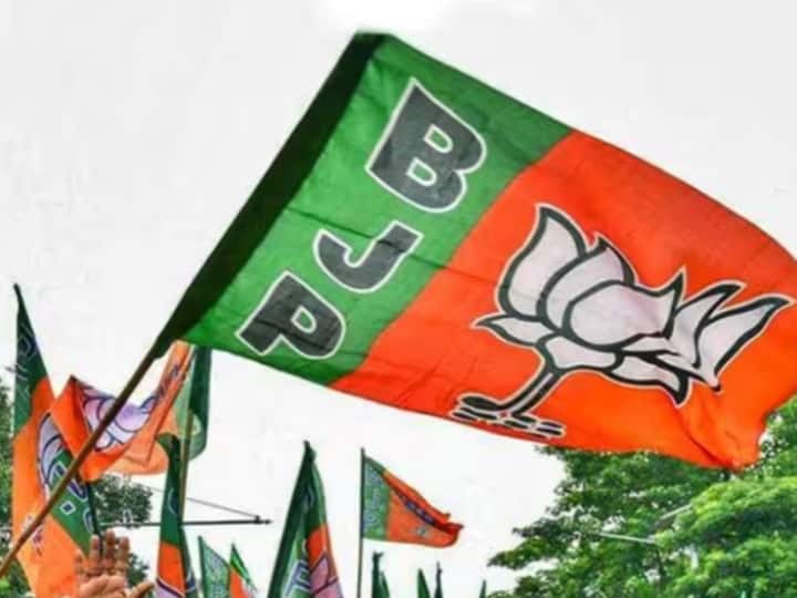 Lok Sabha Elections 2024 in India BJP to set up more than 250 call centers across the country by the end of September Lok Sabha Elections 2024: भाजपा का प्लान-A तैयार! हर 2 लोकसभा सीट पर बनेगा कॉल सेंटर, 20 हजार वर्कर करेंगे हल्लाबोल