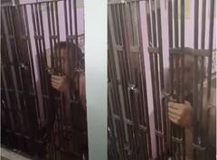 ਚੋਰੀ ਕਰਨ ਲਈ ਘਰ 'ਚ ਵੜਿਆ ਵਿਅਕਤੀ, ਪੀਤੀ ਜਮ ਕੇ ਸ਼ਰਾਬ, ਫਿਰ ਗੂੜ੍ਹੀ ਨੀਂਦ ਸੁੱਤਾ, ਅਗਲੇ ਦਿਨ ਗ੍ਰਿਫਤਾਰ