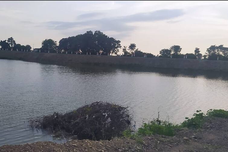 A mother and son have died after drowning in a lake in Ransiki village of Rajkot Rajkot: પાણીમાં ડૂબી રહેલા 8 વર્ષના પુત્રને બચાવવા માતાએ લગાવી તળાવમાં છલાંગ, બન્નેના મોત