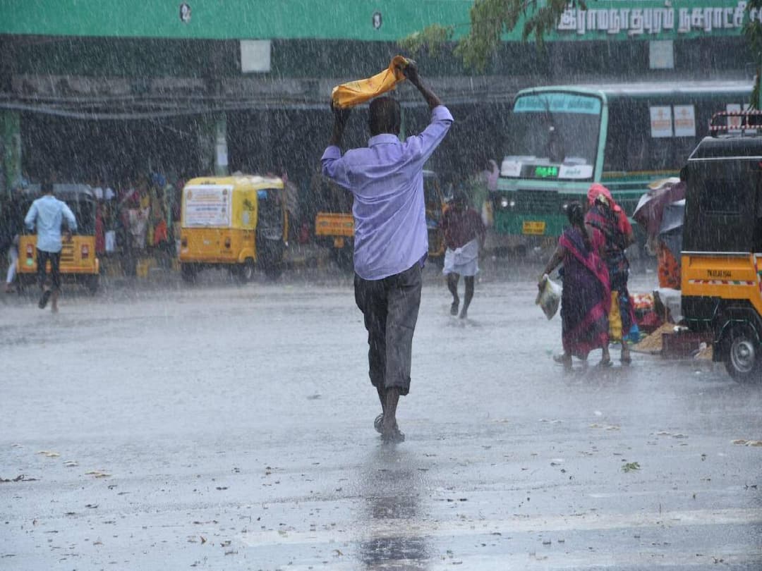 Tamil Nadu will continue to receive rain for the next 7 days, according to the Meteorological Department. TN Rain Alert: சில்லென மாறும் தமிழ்நாடு.. அடுத்த 7 நாட்களுக்கு இதே நிலைதான்.. இன்றைய வானிலை நிலவரம் இதோ..
