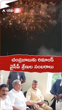 చంద్రబాబుకు రిమాండ్ విధింపుతో వైసీపీ శ్రేణుల సంబరాలు