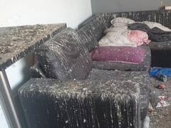 घर खुला छोड़कर चला गया किरायेदार, कबूतरों ने बीट कर-करके मकान को बना डाला 'बदबूघर', सदमे में आया मकान मालिक