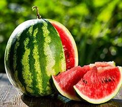 Don't Drink Water: ਇਨ੍ਹਾਂ ਫਲਾਂ ਦੇ ਸੇਵਨ ਤੋਂ ਤੁਰੰਤ ਬਾਅਦ ਕਦੇ ਨਾ ਪੀਓ ਪਾਣੀ