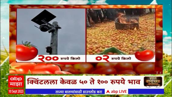 Saat Barachya Batmya 712 : टोमॅटोचा लाल चिखल, क्विंटलला 50 ते 100 रुपये भाव