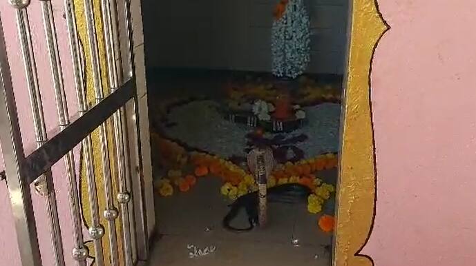 सध्या श्रावण महिना सुरु आहे. श्रावणात  श्रावणी सोमवार निमित्ताने भाविकांची महादेव मंदिरात गर्दी असते.