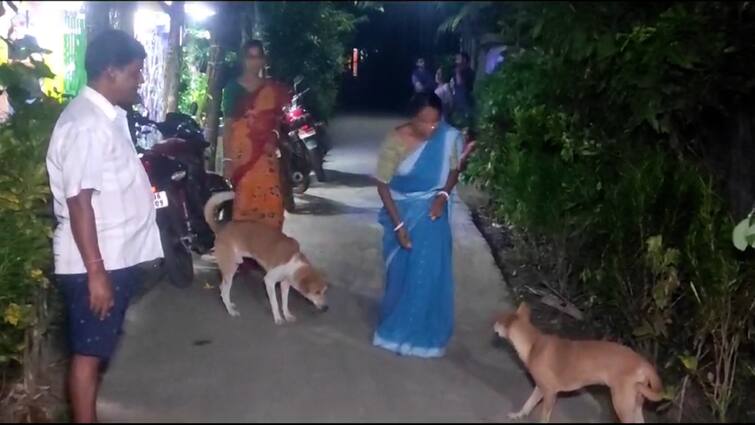 Residents Got Injured Reportedly While Trying To Save Dogs As They Were Getting Attacked By Few Young People In Baruipur South 24 Parganas:যুবকদের হাত থেকে কুকুরদের বাঁচাতে গিয়ে আক্রান্ত পাড়ার লোকজন, বারুইপুরের ঘটনায় চাঞ্চল্য