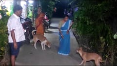 যুবকদের হাত থেকে কুকুরদের বাঁচাতে গিয়ে আক্রান্ত পাড়ার লোকজন, বারুইপুরের ঘটনায় চাঞ্চল্য