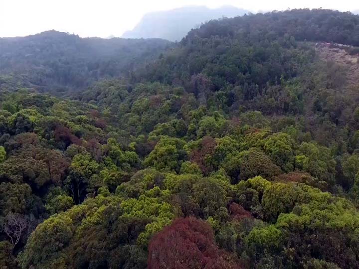 குளிர்ந்த சீசனால் கொடைக்கானலில் குவிந்த கூட்டம்; காட்டு யானைகளால் ஏமாற்றத்துடன் திரும்பிய சுற்றுலா பயணிகள்