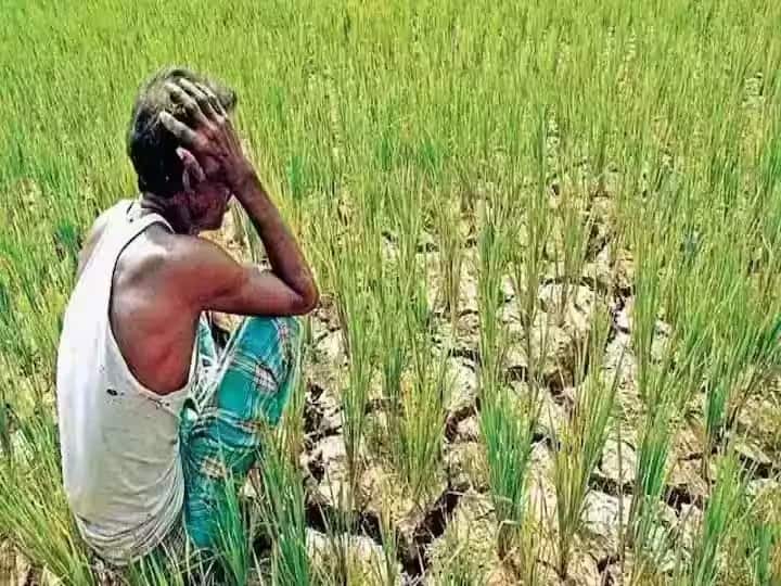 Farmer suicide Three farmers committed suicide on same day in Aurangabad Farmer Suicide : औरंगाबाद हादरलं! एकाच दिवशी तीन शेतकऱ्यांची आत्महत्या, दोघांनी विष तर एकाने घेतला गळफास