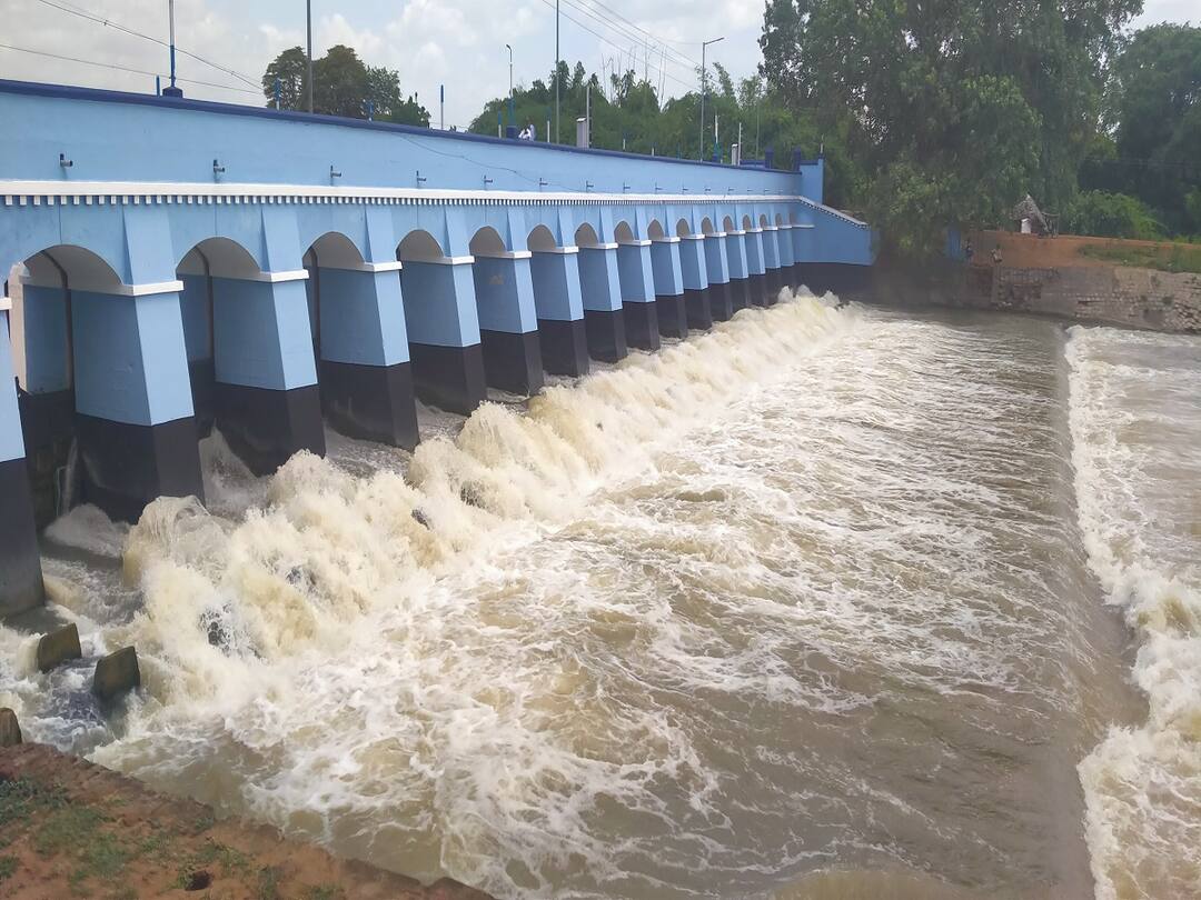 ஆஹா கிடைச்சிடுச்சு... தாலாட்டும் காற்றும், சளசளவென்று பாயும் தண்ணீரும்! விடுமுறையை ரம்யமாக்கும் தென்பெரம்பூர் அணைக்கட்டு Thanjavur District is located near Kallapperampur, then Tenperampur dam TNN ஆஹா கிடைச்சிடுச்சு... தாலாட்டும் காற்றும், சளசளவென்று பாயும் தண்ணீரும்! விடுமுறையை ரம்யமாக்கும் தென்பெரம்பூர் அணைக்கட்டு