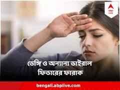 ডেঙ্গি ও অন্যান্য ভাইরাল জ্বরের মধ্যে ফারাক কোথায়? কীভাবে আলাদা করবেন ?