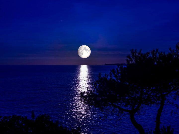 धरती से कैसे पता चलता है कि चांद पर रात है या दिन? जानें क्या है तरीका How to know from Earth weather night or day on the Moon here is method धरती से कैसे पता चलता है कि चांद पर रात है या दिन? जानें क्या है तरीका