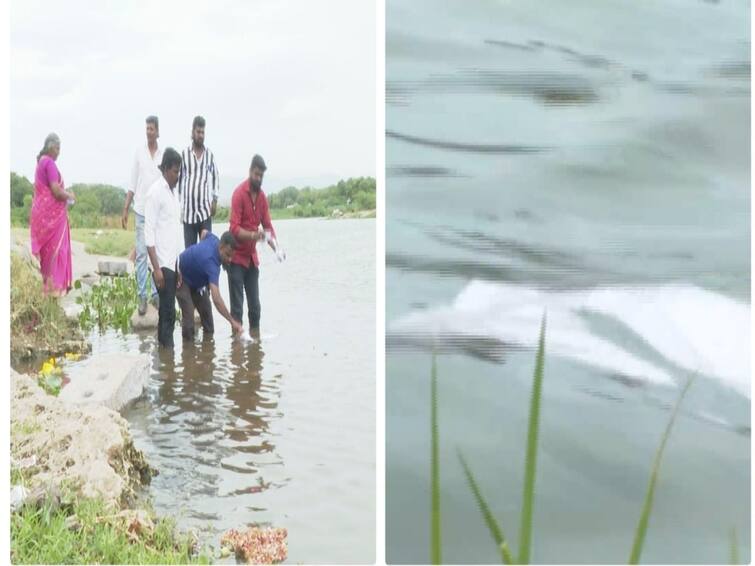 Nellai news Giving it to the collector is the same thing as throwing it in the river TNN ஆற்றில் போடுவதும் ஆட்சியரிடம் கொடுப்பதும் ஒன்று தான்; நெல்லையில் திமுக கவுன்சிலர்களுடன் போராட்டத்தில் ஈடுபட்ட மக்கள்