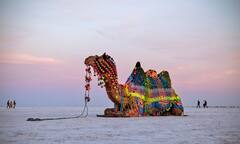 Kutch Tourism: गुजरातला जात असाल तर कच्छचे रण नक्की पाहा; मनाला भुरळ घालतील 'हे' फोटो