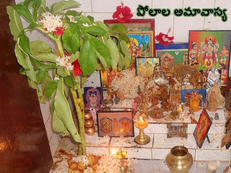 importance and significance of Polala Amavasya 2023 date time and vratha vidhi Polala Amavasya 2023 :  సెప్టెంబరు 14  పోలాల అమావాస్య, ఈ వ్రతం ఎందుకు ఆచరించాలి, విశిష్టత ఏంటి!