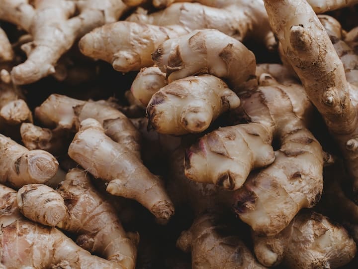 Ginger cultivation at home know easy way adrak ki kheti घर पर रखे खाली डिब्बे में ऐसे उगा सकते हैं अदरक, महंगी हो तो भी आपको फ्री में मिलेगी