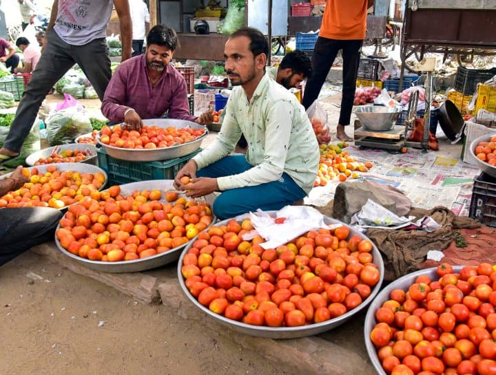 कभी CCTV की निगरानी में रहने वाला टमाटर आज बिक रहा कौड़ियों के भाव, किसान हुए परेशान