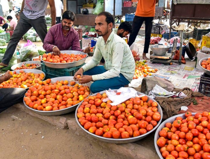 Maharashtra farmers facing huge loss protest after Tomato Price drops rapidly कभी CCTV की निगरानी में रहने वाला टमाटर आज बिक रहा कौड़ियों के भाव, किसान हुए परेशान, जानें क्यों घटे दाम