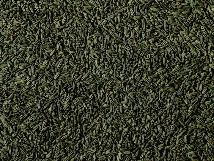 Farmers Became rich by cultivating fennel seed ​saunf ki kheti घरों से लेकर बड़े-बड़े होटलों तक इस्तेमाल होता है ये मसाला, खेती बना देगी अमीर