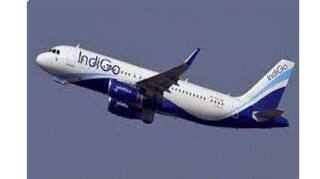 IndiGo Flight Molestation: ਜਹਾਜ਼ਾਂ 'ਚ ਵੀ ਨਹੀਂ ਮੁੜਦੇ ਭੂੰਡ ਆਸ਼ਕ! ਇੰਡੀਗੋ ਦੀ ਫਲਾਈਟ 'ਚ ਬੰਦੇ ਨੇ ਕੀਤਾ ਸ਼ਰਮਨਾਕ ਕਾਰਾ