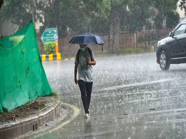 Marathwada Rain  50 mm rain in 5 days in Marathwada Expect heavy rains still Marathwada Rain : मराठवाड्यात पाच दिवसांत 50 मिमी पाऊस, अजूनही मोठ्या पावसाची अपेक्षा