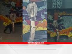 Pune News : हर हर महादेव! शंकराच्या पिंडीजवळच निघाला नाग, भाविक आधी घाबरले अन् नंतर दर्शन घेतलं!