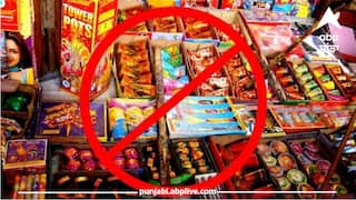Firecrackers Ban: ਪਟਾਕੇ ਬਣਾਉਣ, ਵੇਚਣ, ਸਟੋਰ ਕਰਨ ਤੇ ਚਲਾਉਣ ’ਤੇ ਪਾਬੰਦੀ