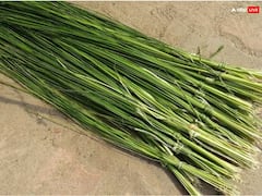 Bhadrapada Amavasya 2023: भाद्रपद अमावस्या पर घर ले आएं ये 1 चीज, सालभर मिलेगा पूर्वजों का आशीर्वाद