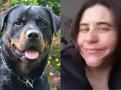 सिर सहलाना पड़ा भारी, महिला को नोचकर खा गए रॉटवीलर कुत्ते, इतने जख्म दिए कि तड़प-तड़पकर हो गई मौत