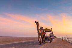 Kutch Tourism: गुजरातला जात असाल तर कच्छचे रण नक्की पाहा; मनाला भुरळ घालतील 'हे' फोटो