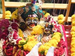 Mahakal Sahi Sawari: शाही ठाठ-बाट के साथ भगवान महाकाल नगर भ्रमण पर निकले, उमड़ा भक्तों का सैलाब