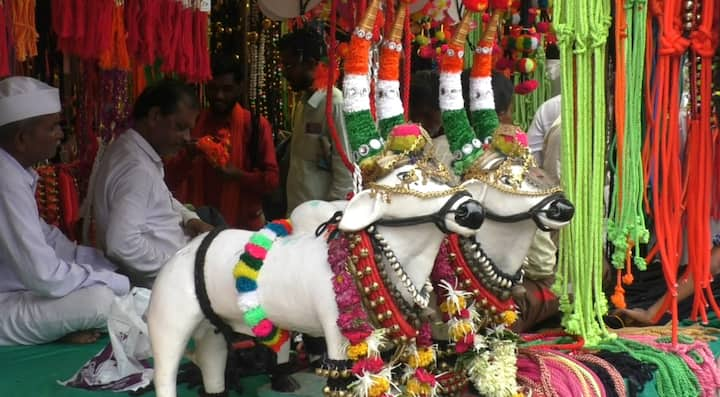 श्रावण महिन्यात पिठोरी अमावस्येला महाराष्ट्रात सर्जा- राजाचा सण हा बैलपोळा म्हणून साजरा केला जातो.