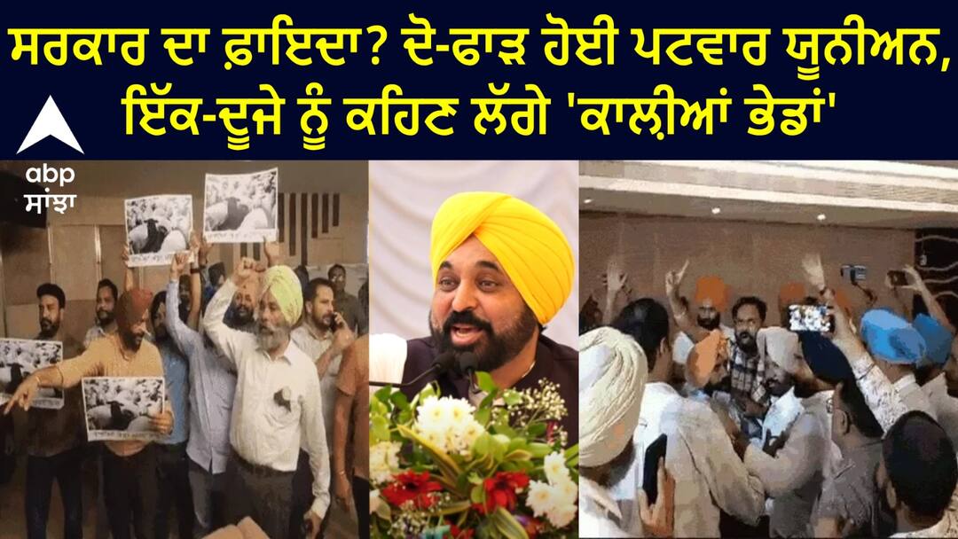 The benefit of the government Patwar union split in two Amritsar News: ਸਰਕਾਰ ਦਾ ਫ਼ਾਇਦਾ ? ਦੋ-ਫਾੜ ਹੋਈ ਪਟਵਾਰ ਯੂਨੀਅਨ, ਇੱਕ-ਦੂਜੇ ਨੂੰ ਕਹਿਣ ਲੱਗੇ 'ਕਾਲ਼ੀਆਂ ਭੇਡਾਂ'
