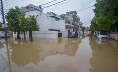 Lucknow Rain: लखनौमध्ये पावसाचा हैदोस; वीज आणि झाडं पडून रस्तेही खचले, पाहा भीषण फोटो