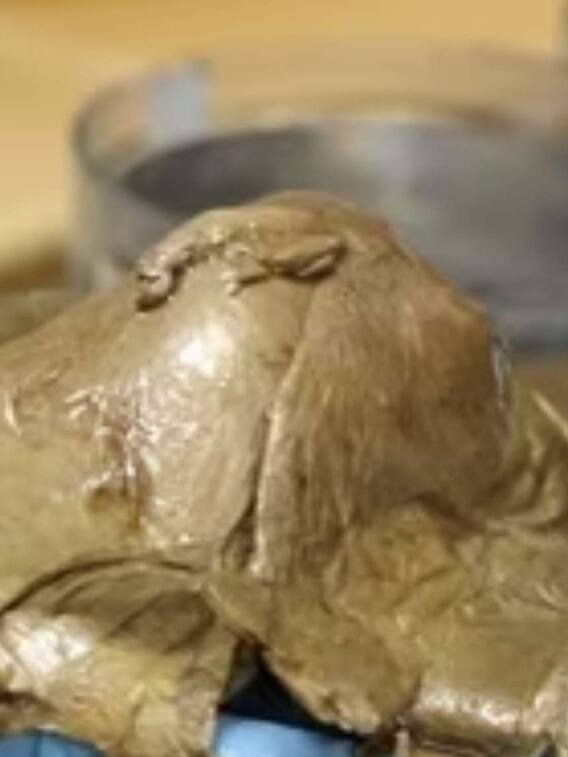 अलास्का के समुद्र में मिला सुनहरा अंडा! वैज्ञानिक देखकर रह गए दंग