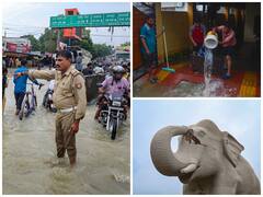 Rain Batters UP, Waterlogging Throws Normal Life Out Of Gear — IN PICS