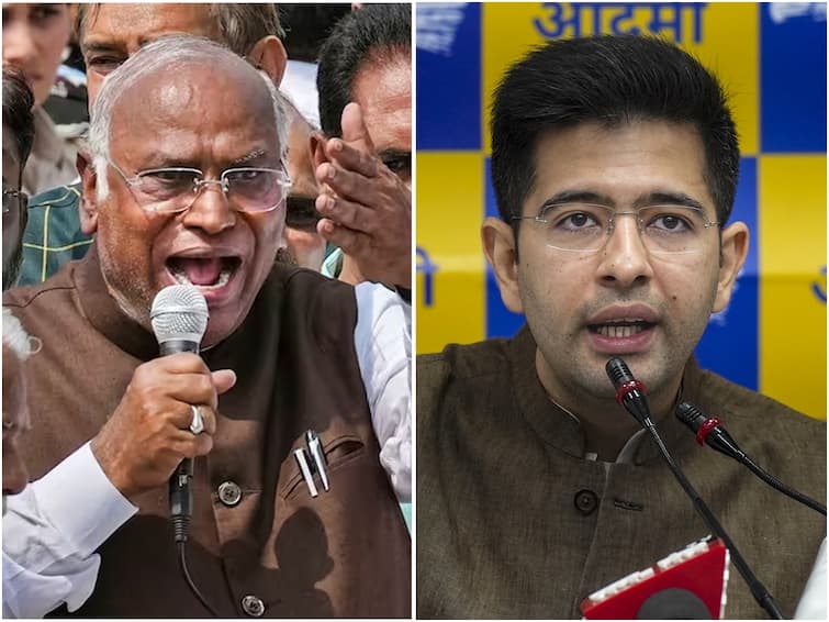 Inflation News Modi Govt Congress AAP Mallikarjun Kharge Raghav Chadha Quotes Michael Jackson BJP SBI Life Insurance Financial Immunity Study 'They Don't Really Care About Us': Opposition Quotes Michael Jackson Song To Attack BJP Over Inflation