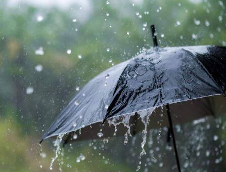 सध्या सुरु असलेल्या पासामुळं पिकांना जीवदान मिळालं आहे. त्यामुळं शेतकरी समाधानी आहेत.