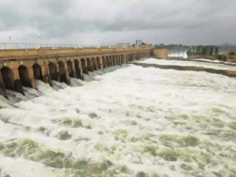 Cauvery Water Cauvery Management Board Orders Karnataka to Release 2600 Cusecs Water to Tamil Nadu Cauvery Water: தமிழகத்திற்கு 2,600 கன அடி தண்ணீர் திறக்க வேண்டும் - கர்நாடகாவிற்கு காவிரி மேலாண்மை ஆணையம் உத்தரவு