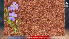 Health News: ਅਲਸੀ ਦੇ ਬੀਜ 'ਚ ਨੇ ਗੁਣਕਾਰੀ ਫਾਇਦੇ...ਸਿਹਤ ਨੂੰ ਮਿਲਦੇ ਨੇ ਕਈ ਲਾਭ