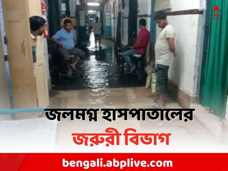 Malda Medical Water Logging: Several wards of Malda Medical College Hospital are submerged due to continuous rain Malda News: টানা বৃষ্টিতে জলমগ্ন মালদা মেডিক্যালের একাধিক ওয়ার্ড, চরম ভোগান্তি রোগী ও পরিবারের