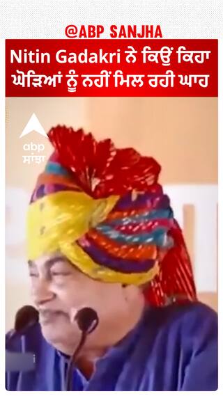 Nitin Gadakri ਨੇ ਕਿਉਂ ਕਿਹਾ, ਘੋੜਿਆਂ ਨੂੰ ਨਹੀਂ ਮਿਲ ਰਹੀ ਘਾਹ