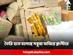 উত্তর ২৪ পরগনার বনগাঁর চৌবেড়িয়ায় তৈরি হতে চলেছে সবুজ বাজির ক্লাস্টার