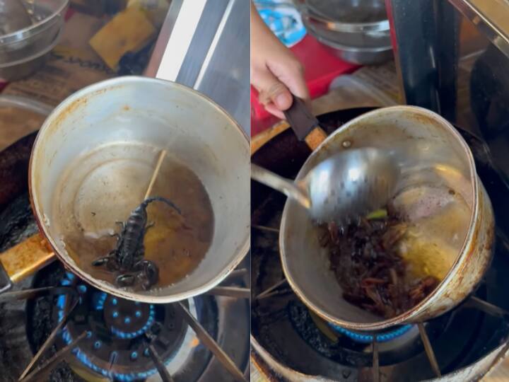 Thailand Street Food Viral Video Woman Frying Scorpion And Cockroach In Boiling Oil खौलते तेल में बिच्छू और कॉकरोच को तलती नजर आई महिला, VIDEO देखकर भड़के लोग, कहा- कुछ तो दया करो