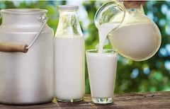 Health Tips : महिनाभर दूध सोडण्याची योजना आहे? तर जाणून घ्या त्याचा शरीरावर काय परिणाम होतो
