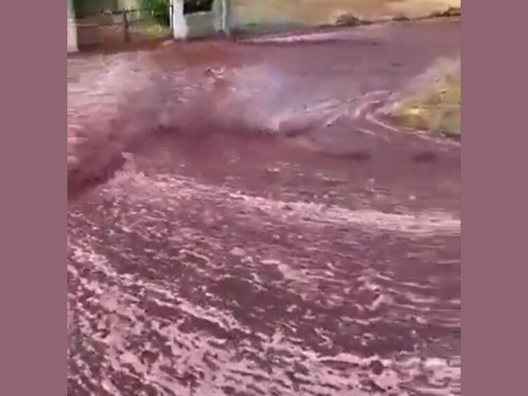 Portuguese Town Painted Red With Surprise Wine River After Massive Spill: Watch