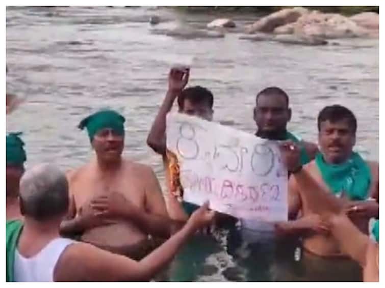 Karnataka Farmers Protest Cauvery Water Sharing Tamil Nadu Video Siddaramaiah D K Shivakumar Karnataka Farmers Stand In River To Protest Over Release Of Cauvery Water To Tamil Nadu — WATCH