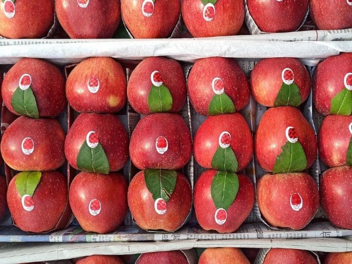 Government Clarifies Duty Removal On United States Apples Will not Impact Local Producers US Apples: अमेरिकी सेब पर एडिशनल ड्यूटी खत्म करने पर सरकार की सफाई, स्थानीय प्रोड्यूसर्स को नहीं होगा कोई नुकसान