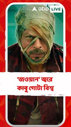 'জওয়ান' জ্বরে  কাবু গোটা বিশ্ব, ৫দিনে আয় দেশে ৩০০ কোটির বেশি